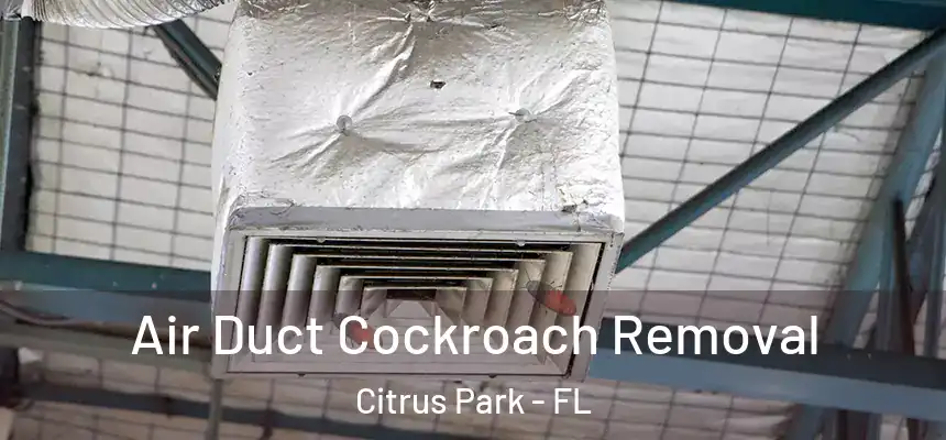 Air Duct Cockroach Removal Citrus Park - FL